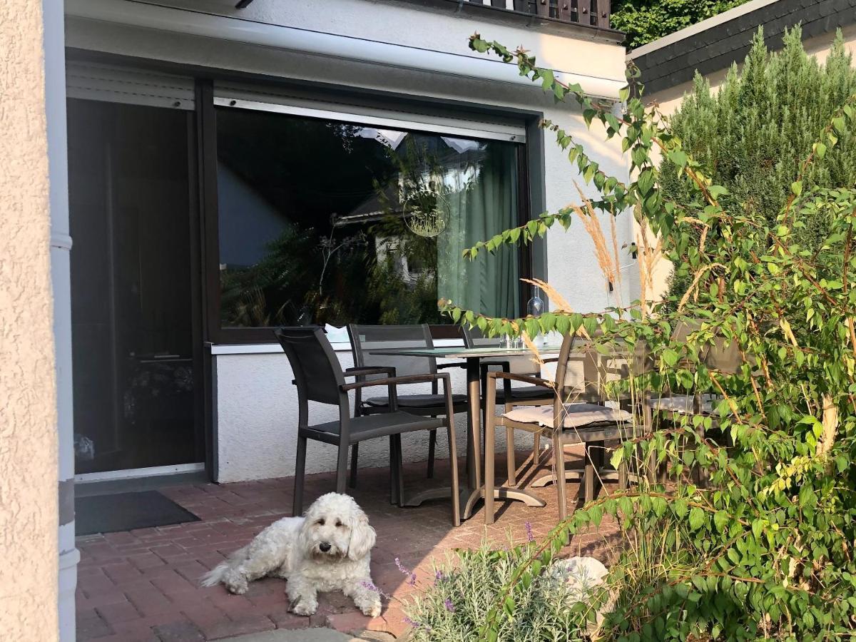 Haus Am Iberg 4 Διαμέρισμα Willingen  Εξωτερικό φωτογραφία